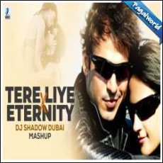 Tere Liye X Eternity Mashup - DJ Shadow Dubai Mp3 Tere Liye X Eternity Mashup - DJ Shadow Dubai Mp3